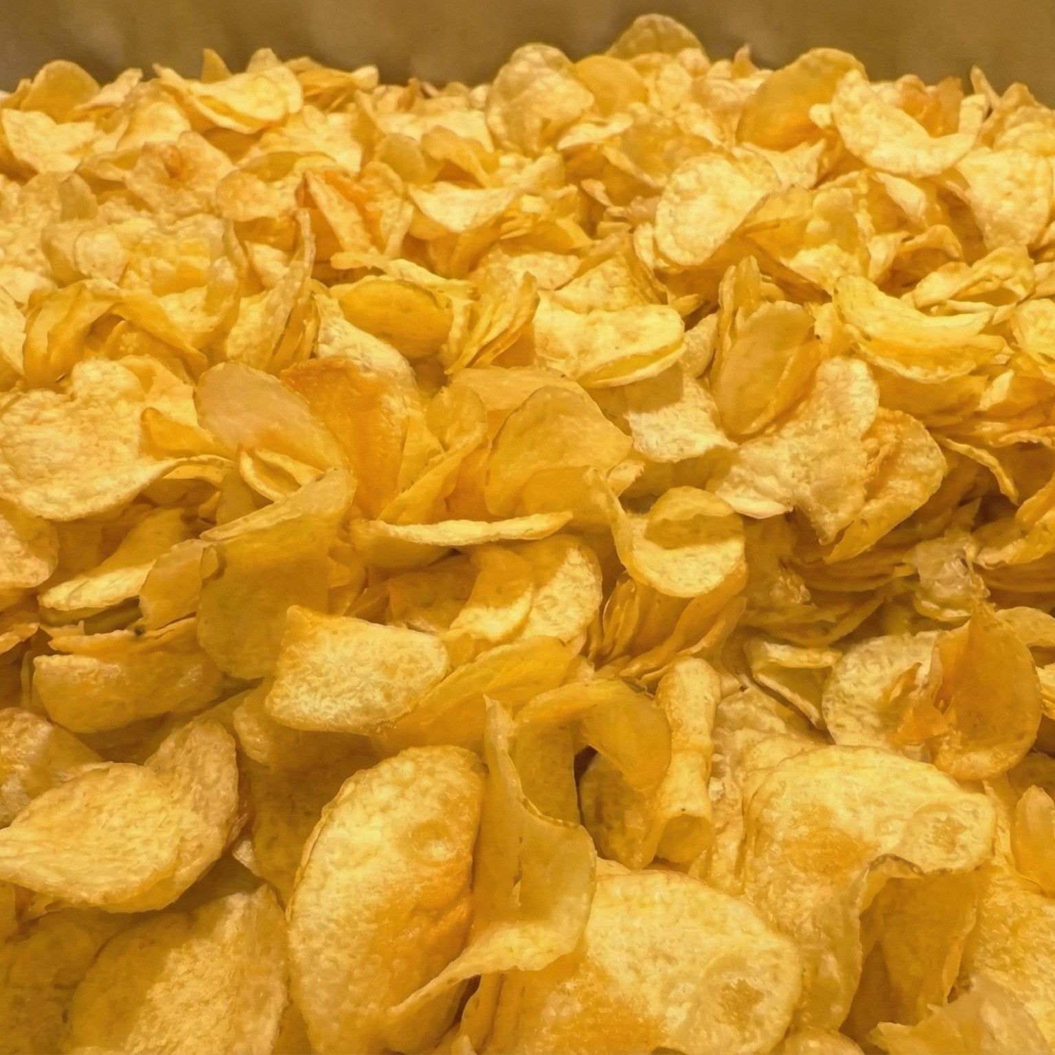 Rancher's beef tallow potato chips by a waterfall